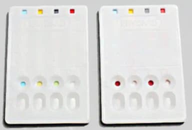 Understanding Blood Type Interactions Refill