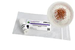 Ap Bio #6 Cellular Respiration -Refill