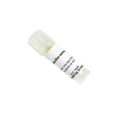 E. Coli Jm101 Freeze Dried Culture W/O Transfer Media
