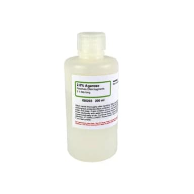 Potato Dextrose Agar 100 G