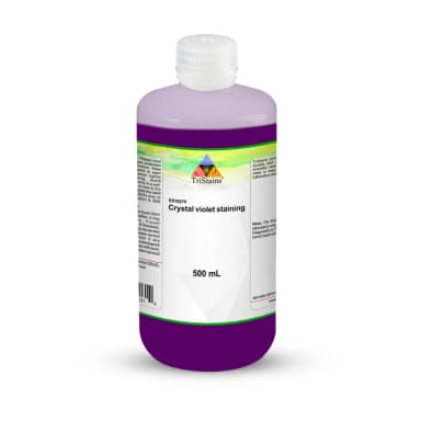 Crystal Violet Staining