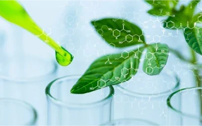 Environmental Chemistry